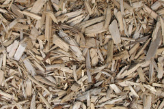 biomass boilers Plaxtol